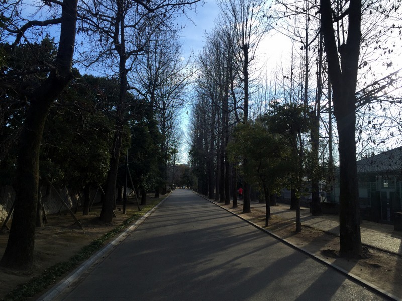 b0057140_21472326.jpg