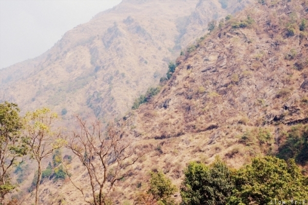 c0228945_10181732.jpg