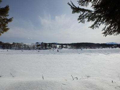 b0126549_1428255.jpg