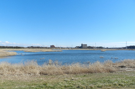 e0172950_18531613.jpg