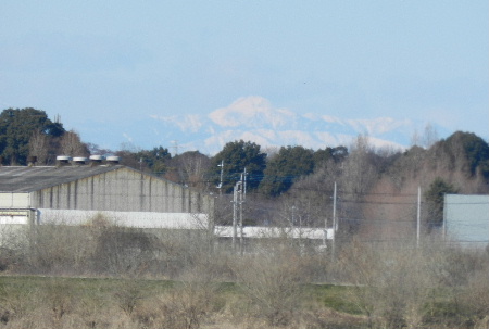 e0172950_18541588.jpg