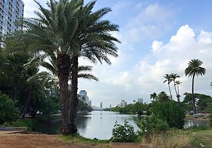 c0022164_20344852.jpg