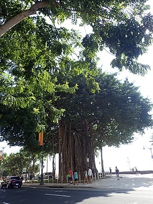 c0022164_2173610.jpg