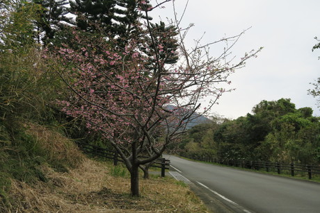 e0292172_20554047.jpg