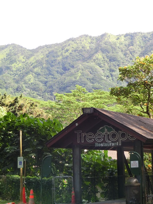 d0147774_17193083.jpg