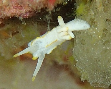 a0108380_18320327.jpg