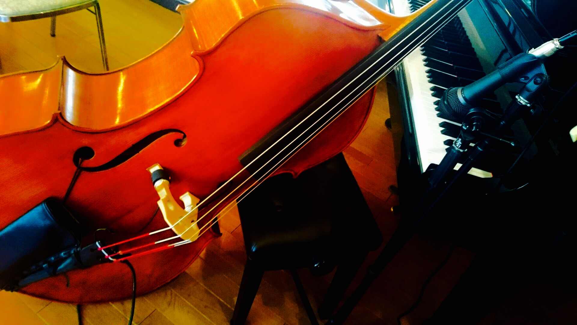 c0202101_06886.jpg