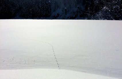 e0328909_10452209.jpg