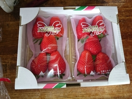 c0153412_17541411.jpg