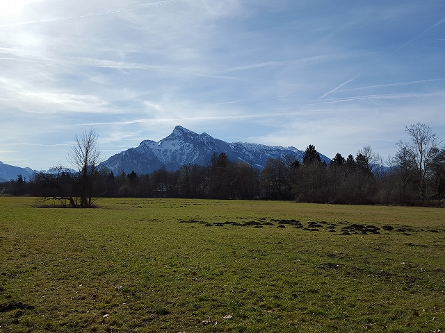 c0167813_17441848.jpg