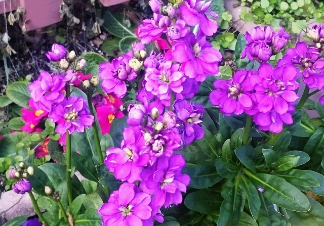 e0350415_08003632.jpg