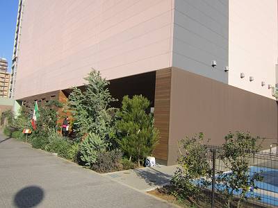 d0065324_210846.jpg