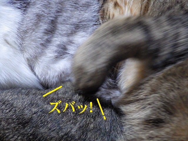 a0337237_14501709.jpg