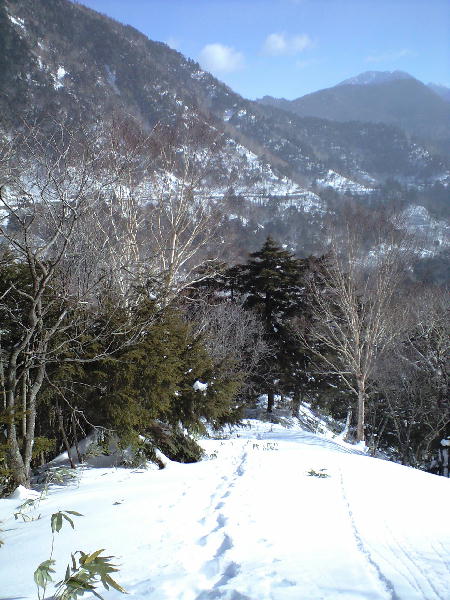 d0107938_143091.jpg