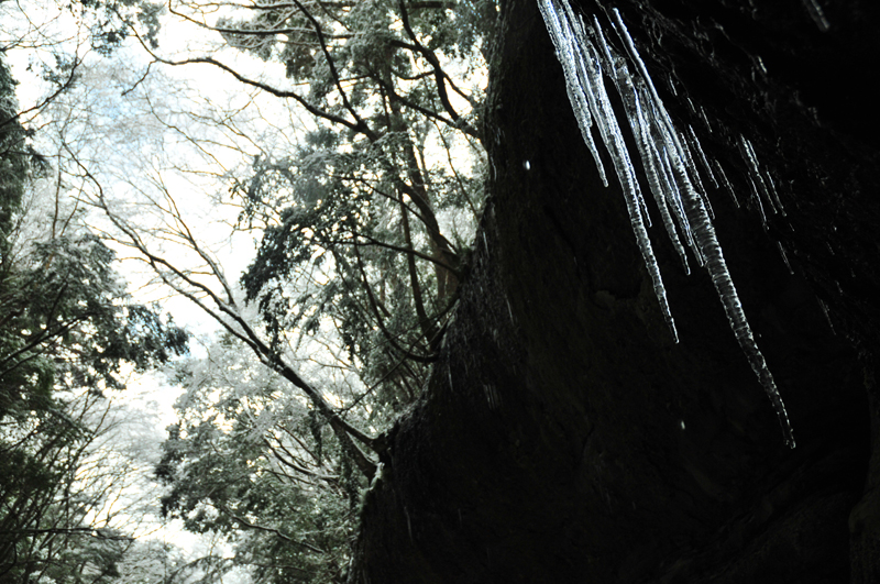 d0018646_4245759.jpg