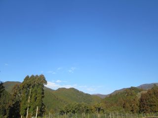 a0054948_2216546.jpg