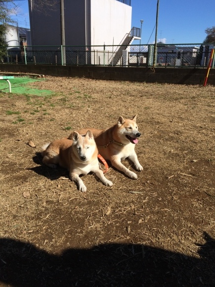 a0223066_21350102.jpeg