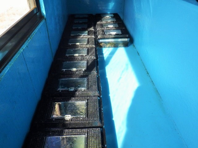 c0105569_0592812.jpg