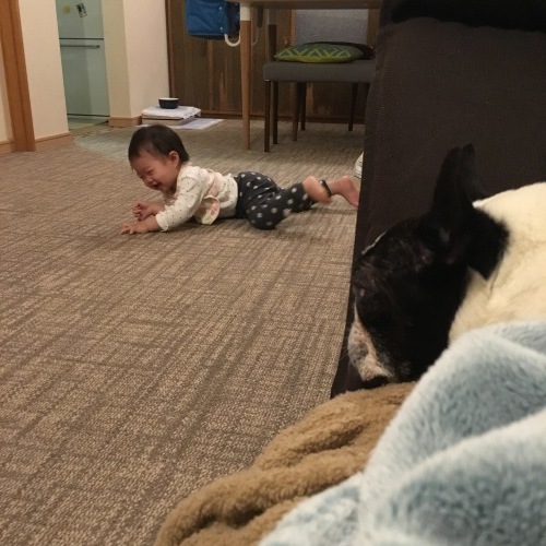 d0041575_00040846.jpeg