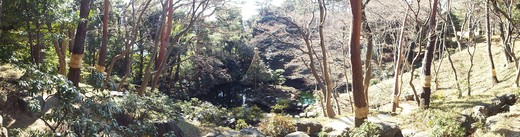 e0145782_7305316.jpg