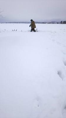 c0145183_16304541.jpg