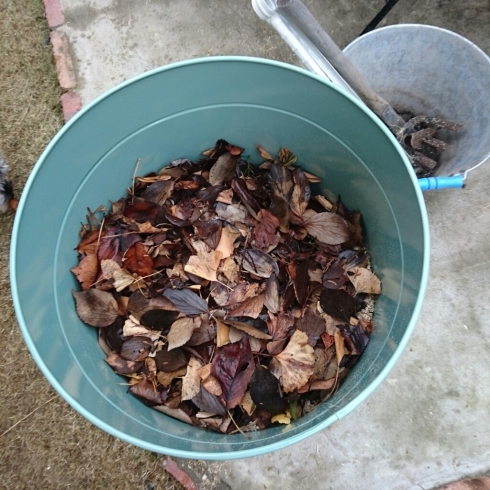 c0348784_13550791.jpg