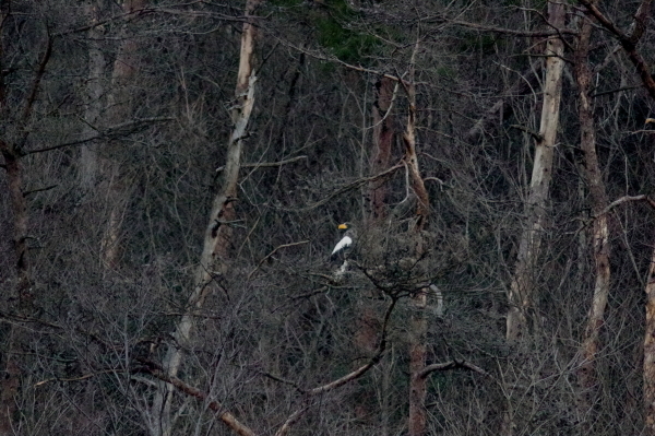 c0311196_20493085.jpg