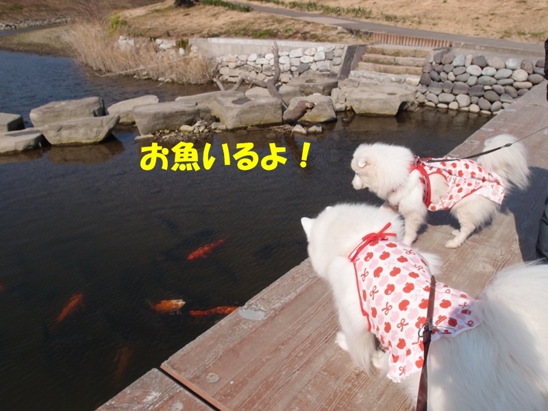 e0018604_19444192.jpg