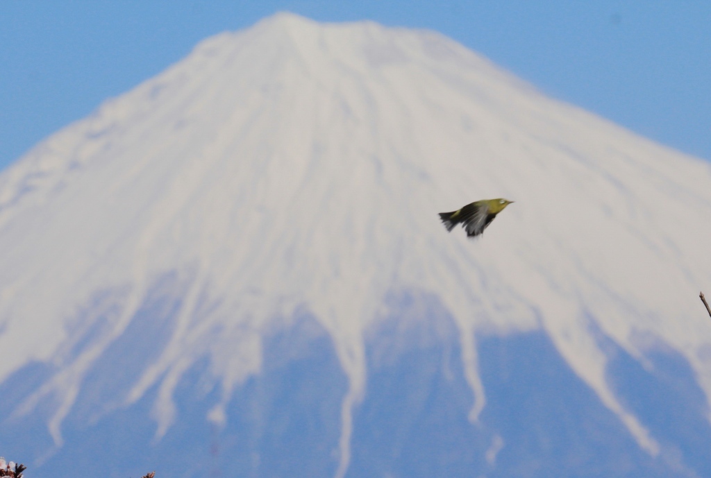 a0188405_19434688.jpg