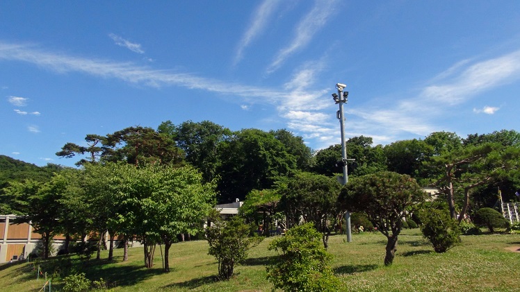 a0151913_1936776.jpg