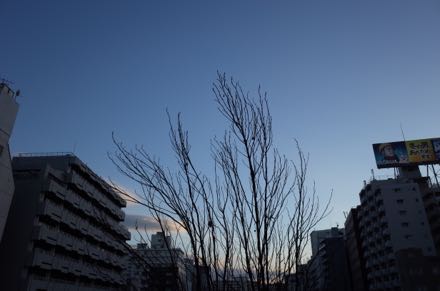 f0132230_301624.jpg