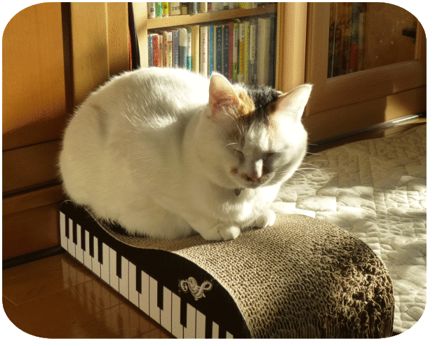 a0278632_13123168.gif