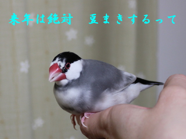 c0365734_22182954.jpg