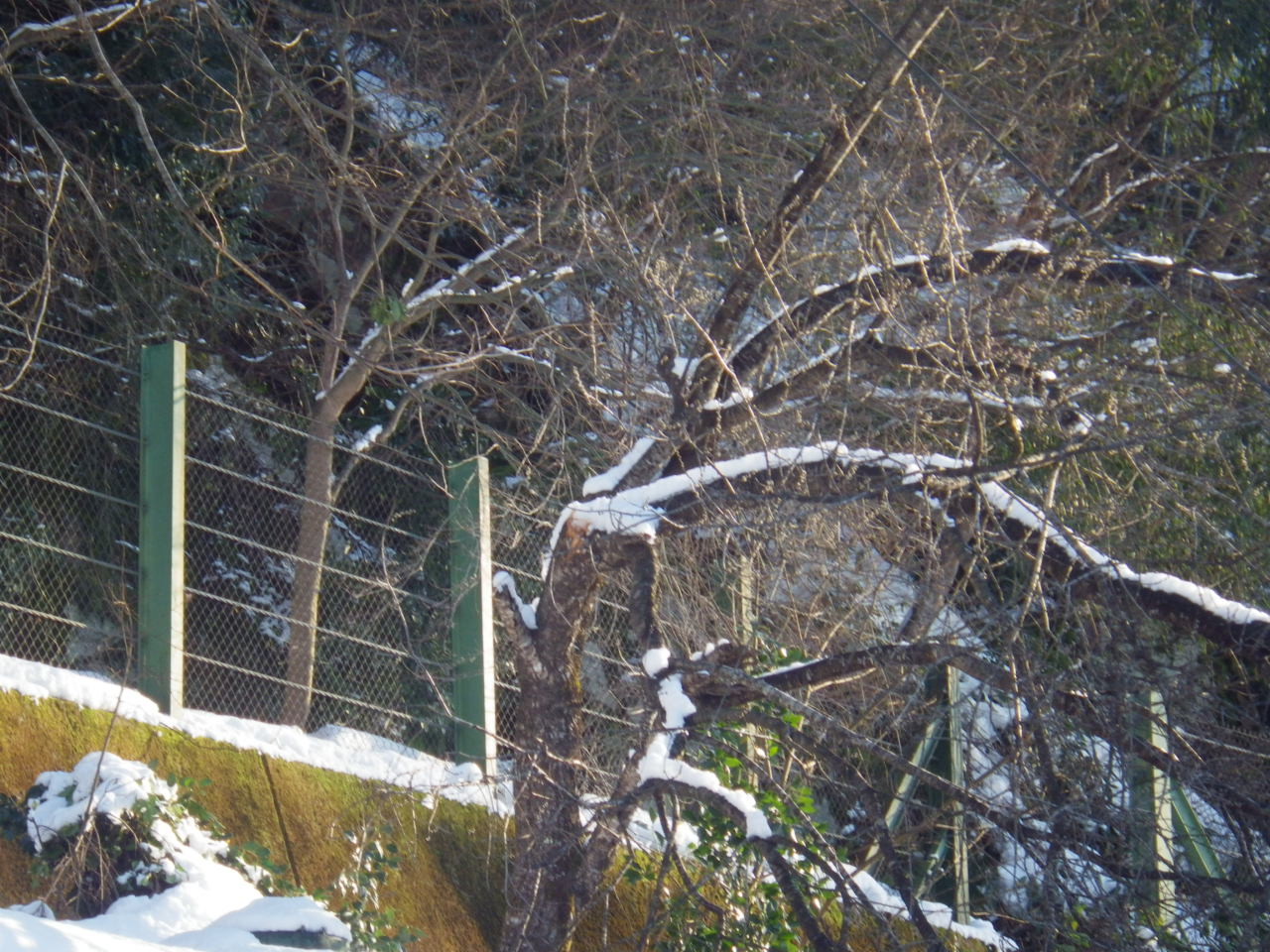 c0300035_15162386.jpg