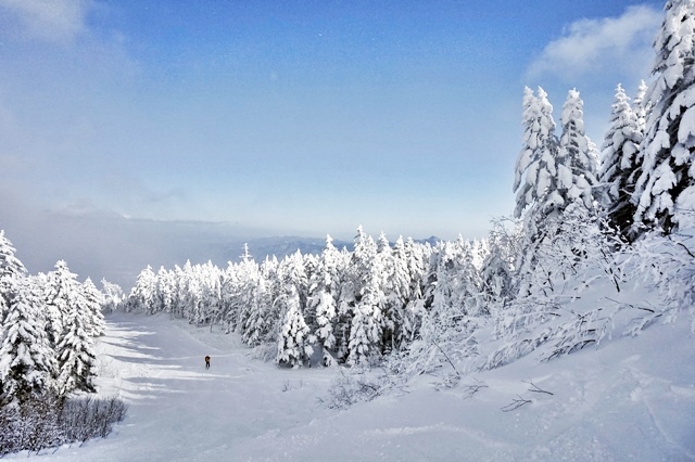 b0122448_12335504.jpg