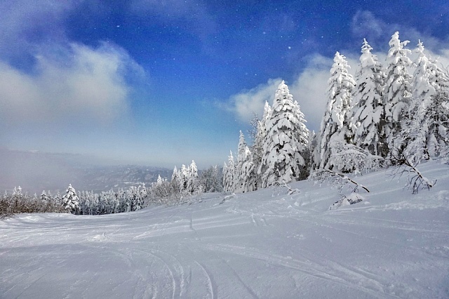 b0122448_12335902.jpg
