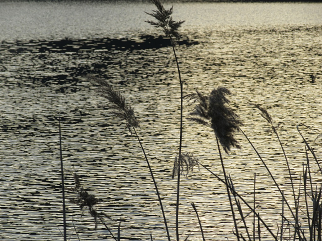 f0113862_2151555.jpg