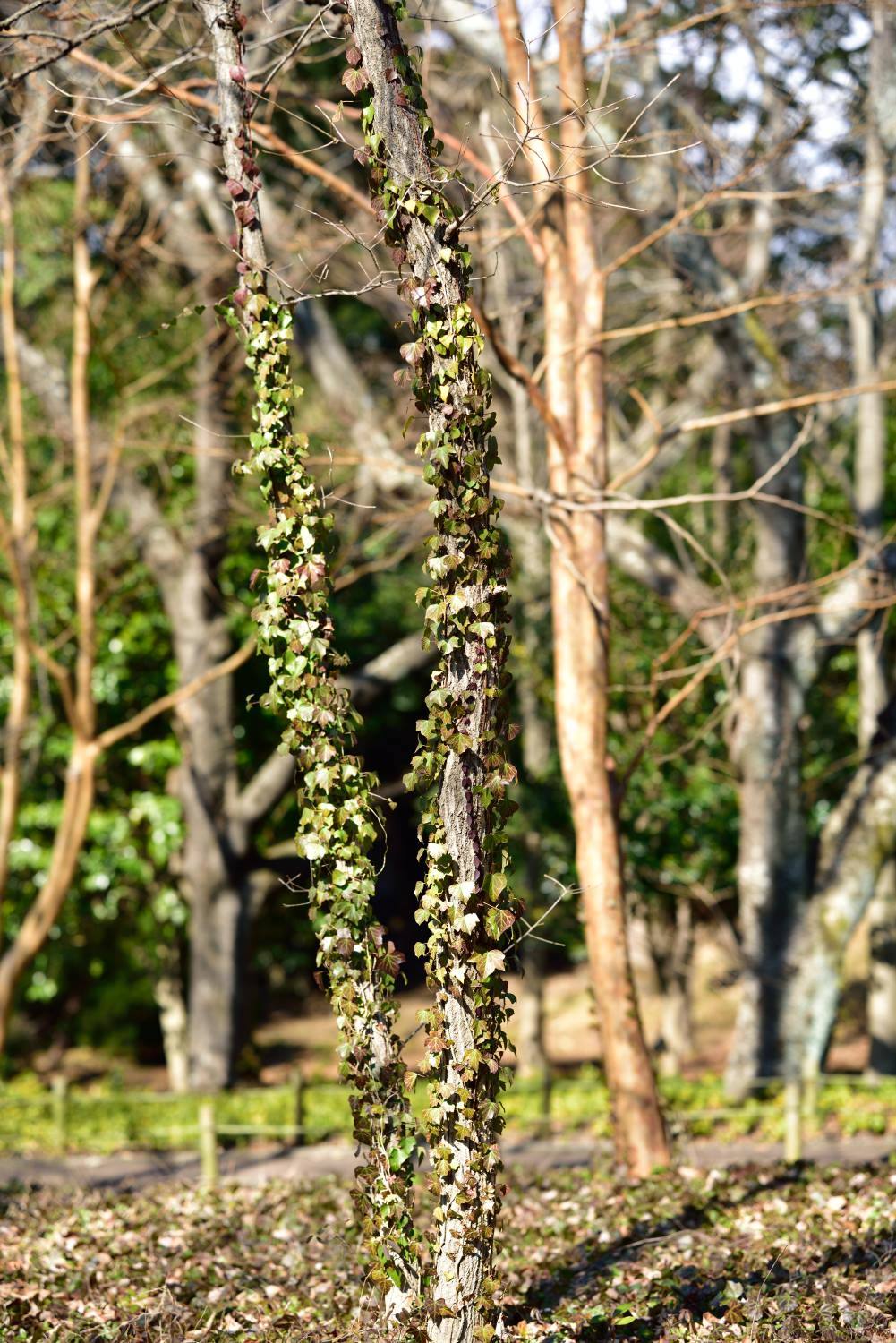 b0346568_21040528.jpg