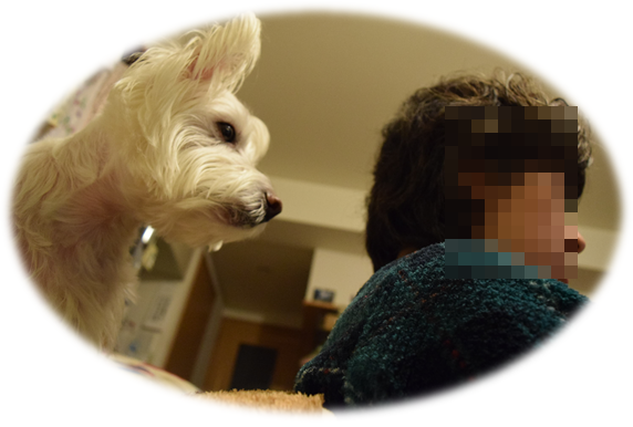 b0242873_01004647.png