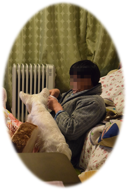b0242873_01131673.png