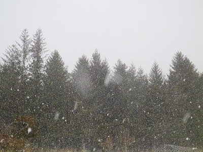 f0182173_10552878.jpg