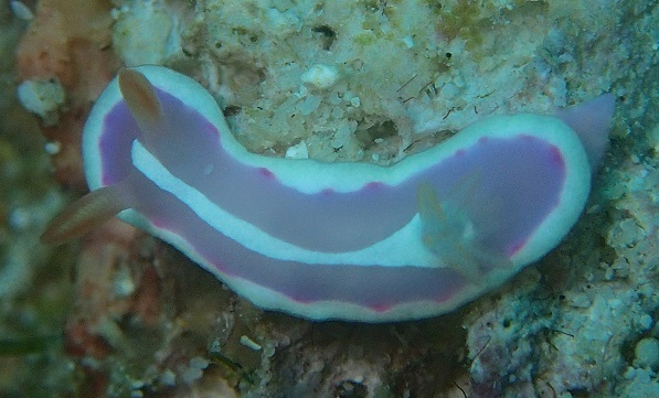 a0108380_10552337.jpg