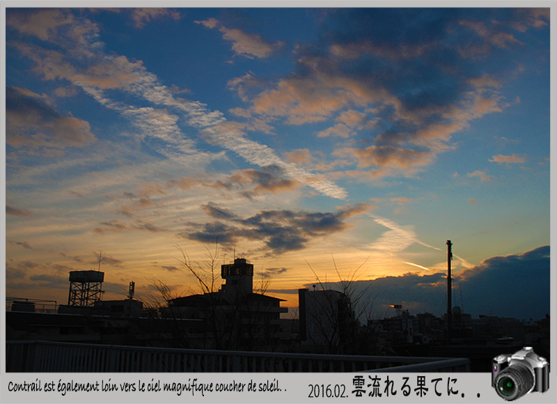 c0009981_634376.jpg