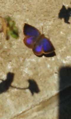 a0085195_1325496.jpg