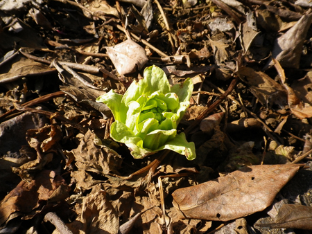 f0239100_22291811.jpg