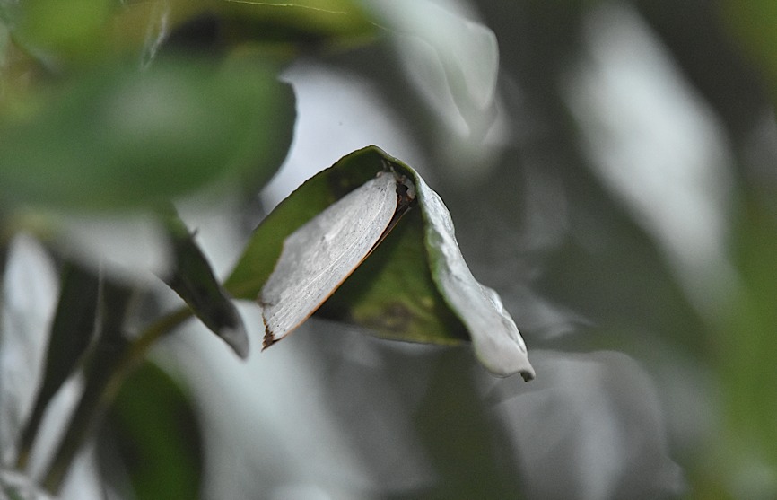 d0303129_340859.jpg