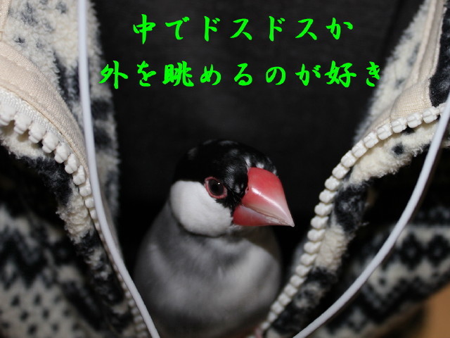 c0365734_20361357.jpg