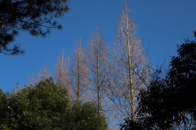 a0143839_2333999.jpg