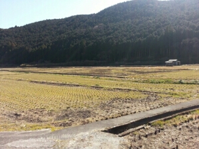 c0330749_13231559.jpg