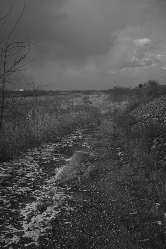 d0342652_1641012.jpg